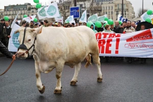 Protesti urodili plodom, Francuska stoji iza svojih poljoprivrednika