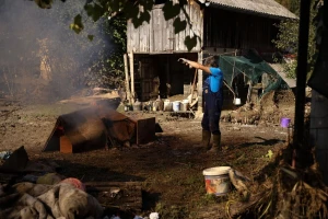U poplavama u BiH stradalo na stotine grla sitne stoke, leševe još uvek uklanjaju