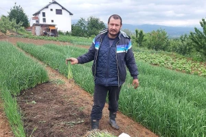 Porodica Nebojše Rusimovića proizvodi rasad praziluka punih 70 godina
