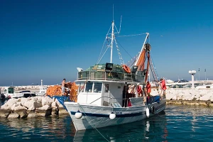 EU traži hitno zaustavljanje pada fonda brancina