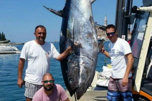 U Rovinju ulovljena tuna od 360 kg!