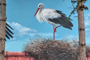 Zašto je Donje Međurovo ponelo titulu - "Niško selo roda"?