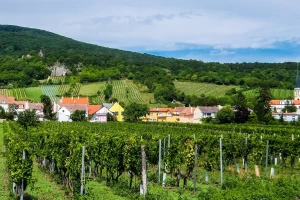 Gubitak Srbije od šest milijardi dolara zbog klime - poljoprivreda najranjivija?