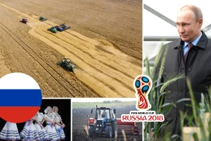 Samo je nebo granica za rusku poljoprivredu - u Sibiru će saditi lubenice?!