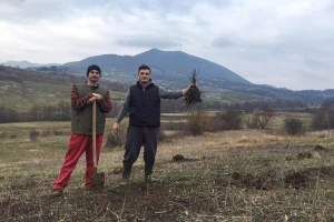 U selu kod Čačka posadio šumu da proizvodi kiseonik za sadašnje i buduće generacije