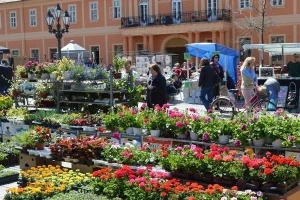 Festival cveća u Somboru