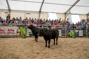 Agraria 2019 - 25 godina podrške rumunskoj poljoprivredi
