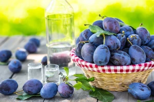 Sajam šljive u Gradačcu uz Sajam pčelarstva i ocenjivanje rakije