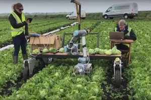 Na Kembridžu napravili robota za berbu salate