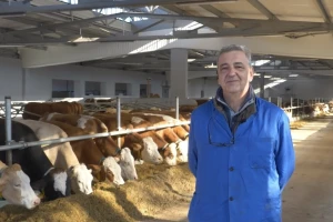 Ko je stočar koji je svakoj kravi kupio dušek od 200 maraka?