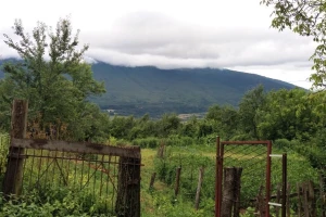 Sve veća želja mladih Beograđana da se bave poljoprivredom i vrate selu