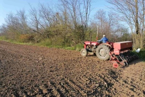 Ne žuriti sa prolećnom setvom lucerke. Šta kaže struka, koji rok je optimalan?