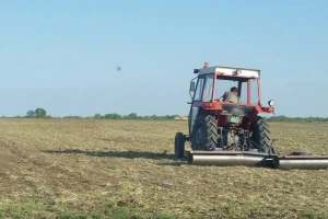Setva kukuruza planirana na 50.000 hektara u Pomoravskom okrugu
