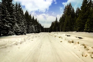 Sneg na Goliji, Pešteru, Novoj Varoši - napadalo do 15 centimetara