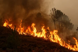 Evropa beleži rekordne emisije ugljen dioksida iz šumskih požara