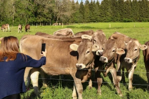 Tik tak otkucava sat - koliko je još vremena za nominaciju na RuralFoto konkursu?
