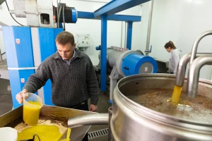 Španci traže da se stane na kraj lažnom maslinovom ulju: "Ćutimo već 40 godina"