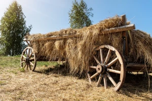 Od taljiga do zaboravljenog majstorstva