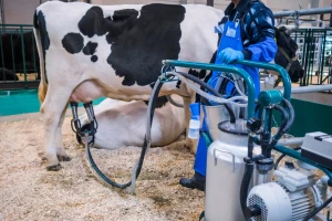 Dok mlekarska industrija menja strategiju, Lactalis obara rekorde - ko su 20 najboljih?