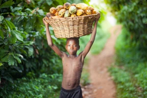 Kolika je stvarna cena čokolade? Potresna priča o trgovini decom u Africi