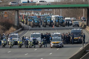 Protest francuskih farmera: Ako jedno grlo ima bolest kvrgave kože, zašto ubijate celo stado?