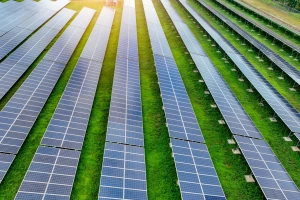 Prvi agrosolarni projekat na Balkanu: Proizvodnja struje na više od 700 hektara u Kuli