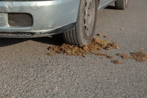 Zakonom žele da doskoče dosljenicima iz gradova kojima smeta miris balege i kukurikanje