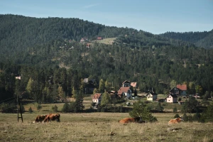 Budžet za unapređenje seoskog turizma 150 miliona dinara, moguća i dodatna izdvajanja