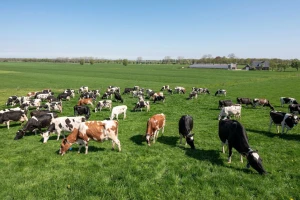 EU planira da do 2040. smanji emisije stakleničkih gasova za 90 odsto: Šta to znači za farmere?