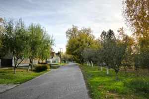 Useljeno 4.000 seoskih kuća za pet godina, najviše u Bačkom Petrovom Selu