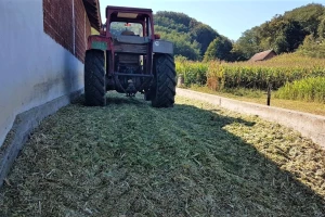 Kako spremati silažu -  fermentacijom ili uz dodatak inokulanata?
