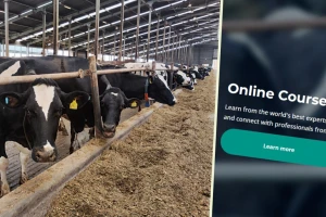 Kravlji nutricionizam: Besplatni onlajn časovi o ishrani muzara