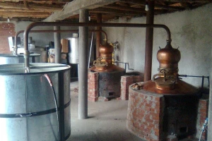 Ne baš lak put za našu rakiju do Evroazijskog tržišta
