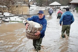 Životinje u vreme poplava prolaze kroz isti stres kao i ljudi