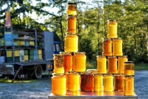 SPOS sa otkupljivačima meda dogovara saradnju
