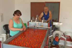 Priprema zimnice: Kupovina ili kuvanje paradajza?
