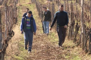 Ljubav prema proizvodnji vina još od studentskih dana