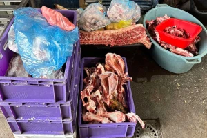 Subotica: Uhapšen vlasnik nelegalne klanice, zaplenjena 1,6 tona mesa