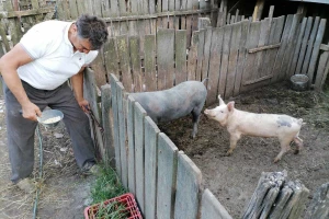 Dodatan novac za sprečavanje AKS-a i nadoknadu štete vlasnicima