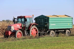 Ukrajinski proizvođači od početka sezone izvezli 16 megatona kukuruza
