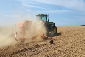 Počela setva uljane repice - obratite pažnju na suzbijanje korova