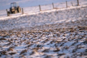 Usevi gladni mraza - vreme je za nevreme?
