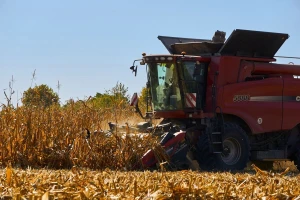 Trampova administracija naljutila farmere, rafinerijama olakšano odustajanje od kukuruza
