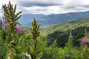 Šta nudi Stara planina u zimskim mesecima?