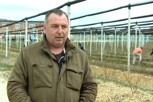 Goran Dišić: U borovnicu vredi investirati