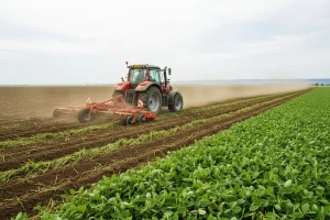 U Sremu i Mačvi otkrivena GMO soja
