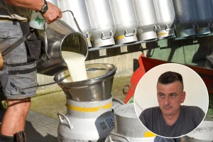 Ugovor između stočara i mlekare - sigurna isplata, ali cena sa "luftom"?
