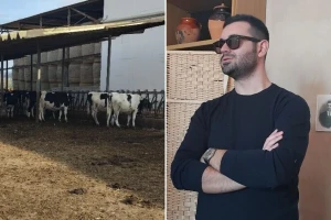 Pradeda, zahvaljujući kockarima, otkupio farmu: Danas su poznati proizvođači sireva
