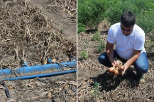 Navodnjavanje više nije luksuz - danas je jedino rešenje