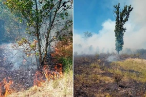 "Vojvodinašume": Pojačana opasnost od požara, ne palite vatru tamo gde je zabranjeno